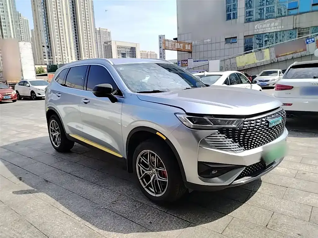 Haval H6 New Energy — фото 7