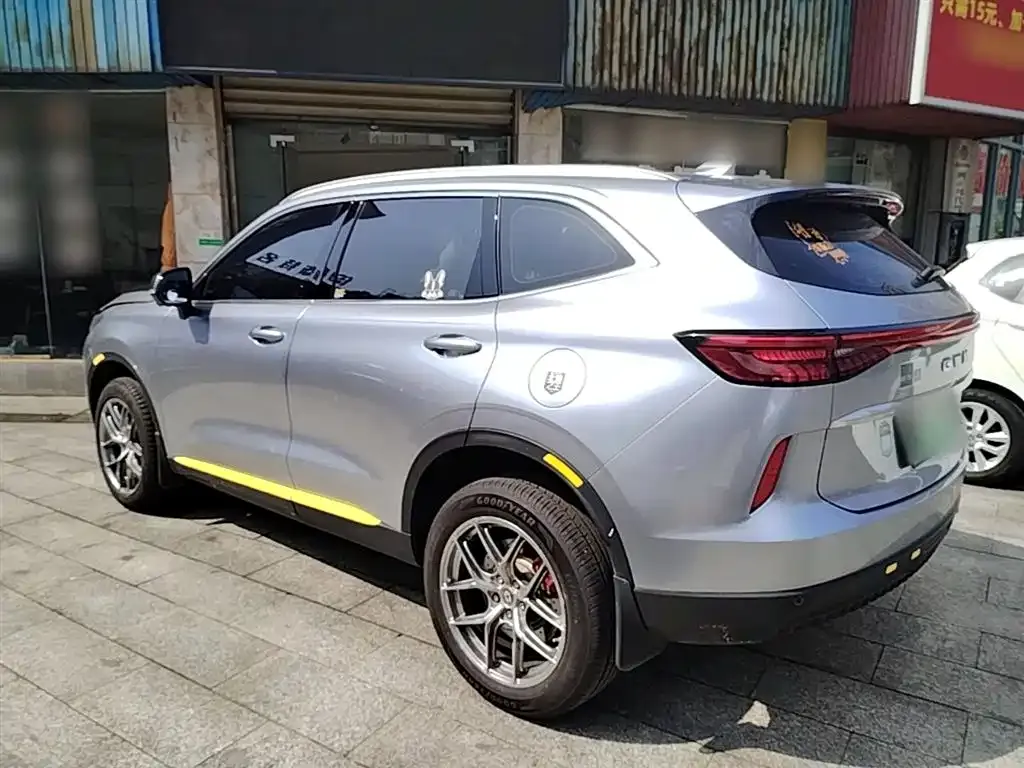 Haval H6 New Energy — фото 3
