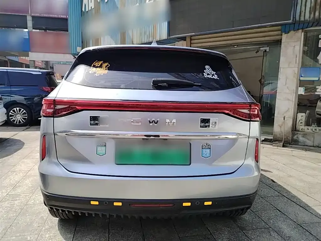 Haval H6 New Energy — фото 6