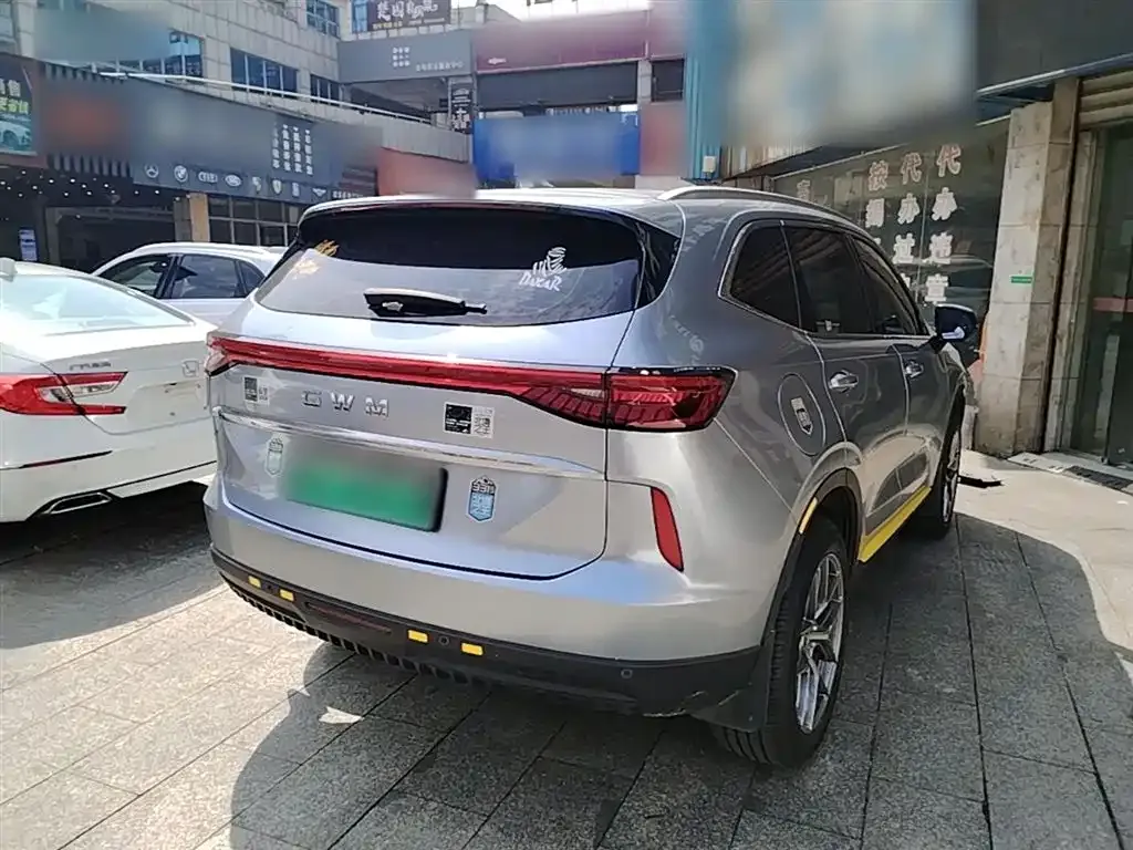 Haval H6 New Energy — фото 8