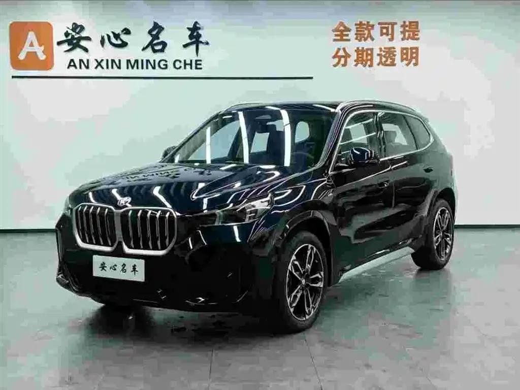 BMW X1 — фото 1