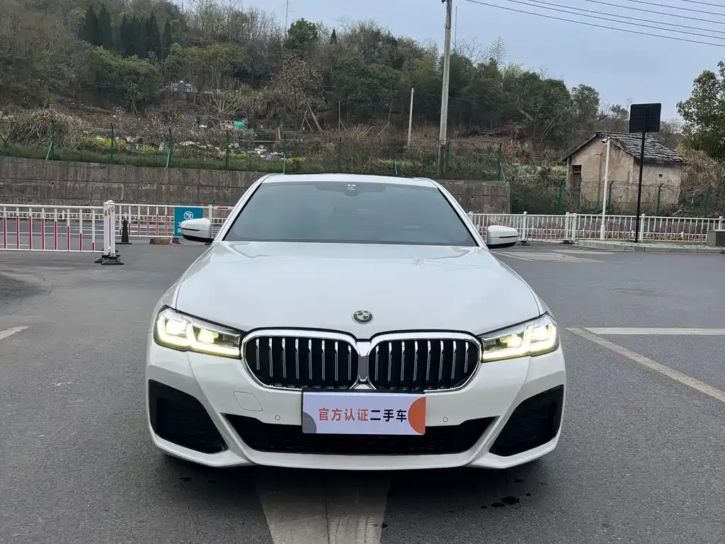 BMW 5 Series (Import) — фото 1