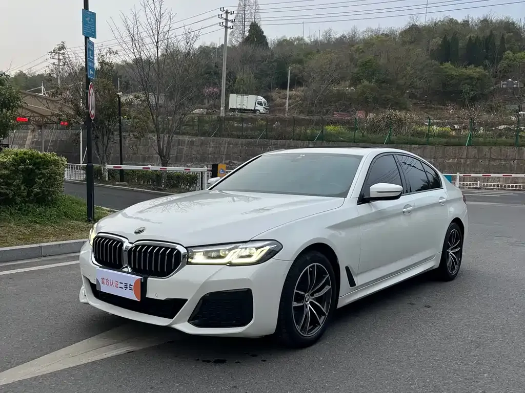 BMW 5 Series (Import) — фото 9
