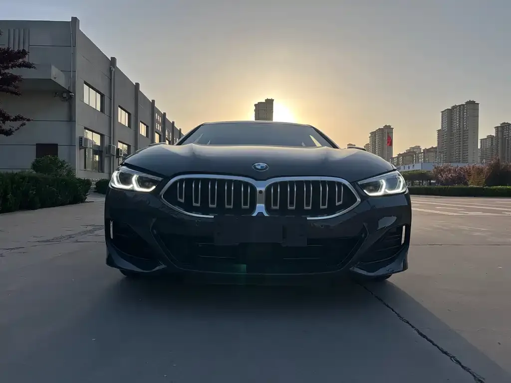 BMW 8 Series — фото 7
