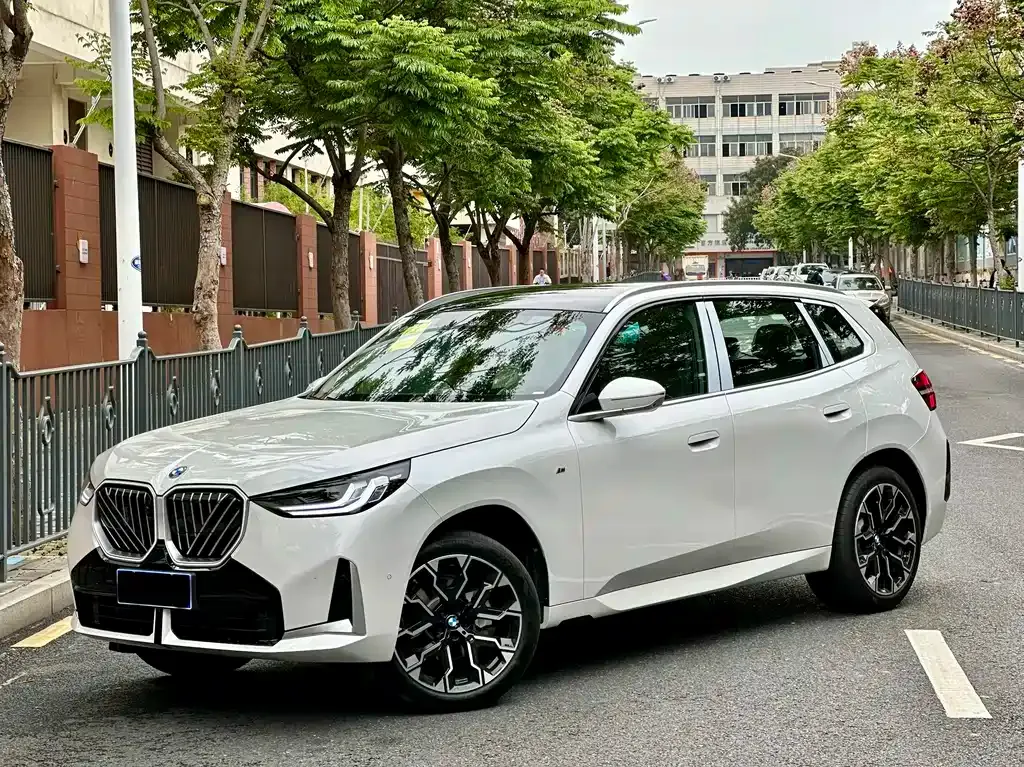 BMW X3 — фото 1
