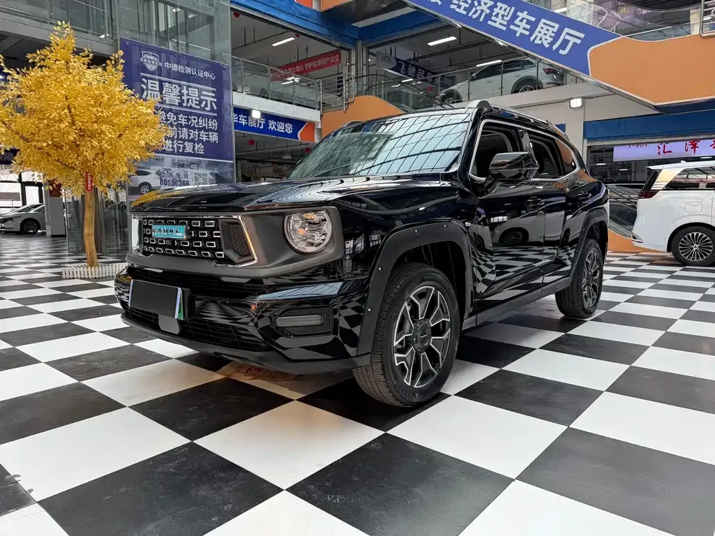 Haval H7 (Big Dog Plus) New Energy — фото 1