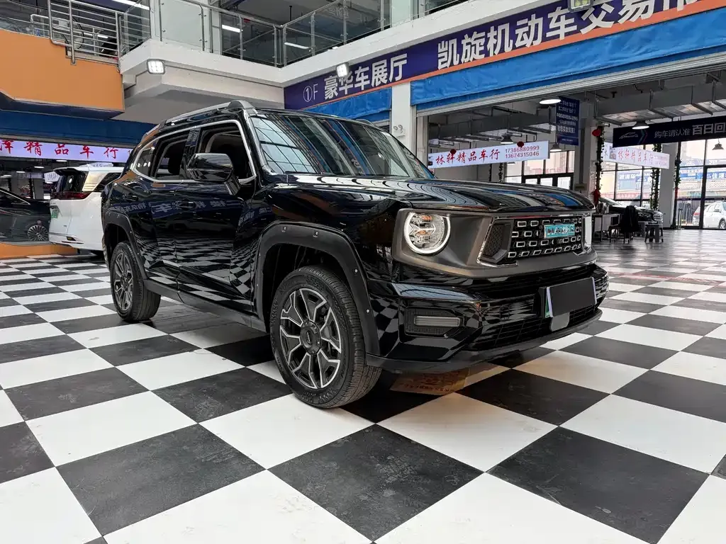 Haval H7 (Big Dog Plus) New Energy — фото 9
