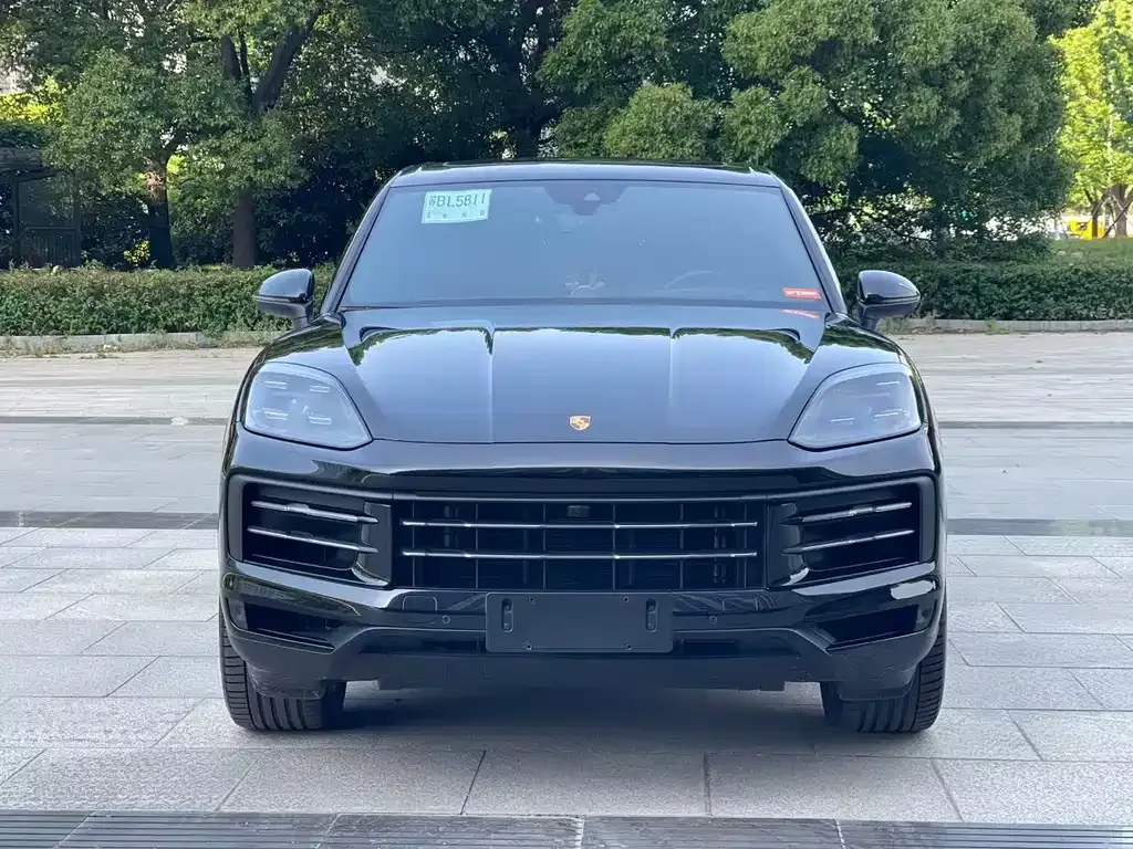 Porsche Cayenne — фото 9