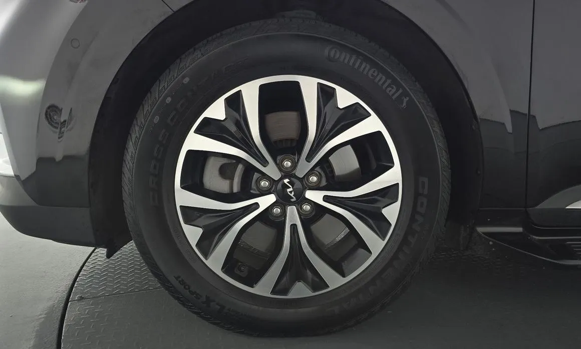 Kia Carnival — фото 10