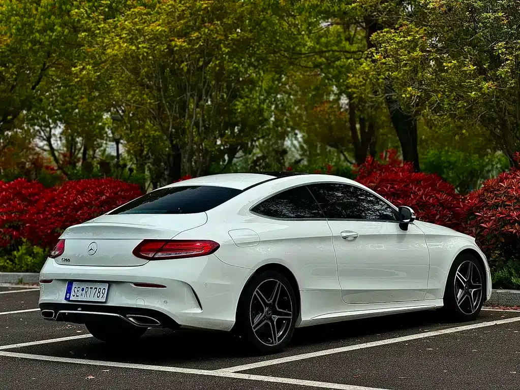 Mercedes-Benz C-Class (Import) — фото 9