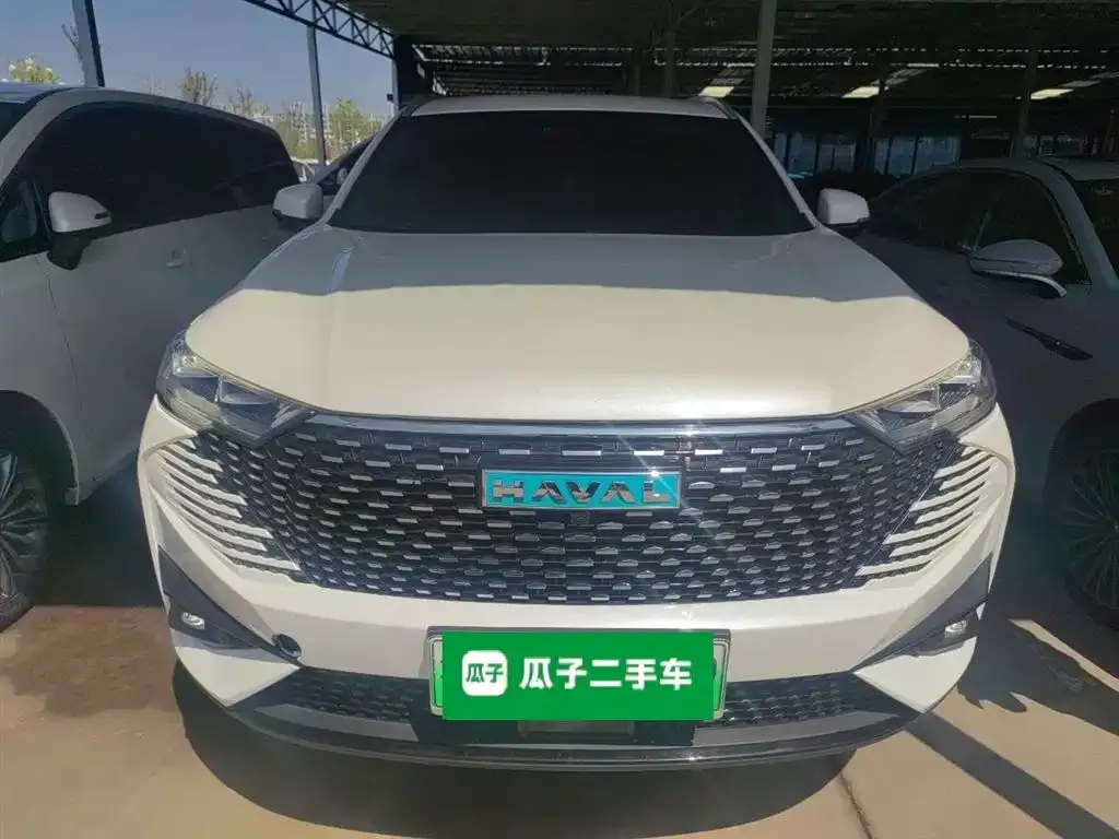 Haval H6 New Energy — фото 9