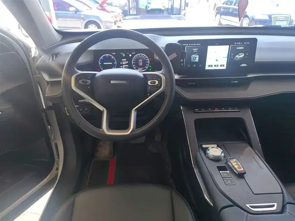 Haval H6 New Energy — фото 10