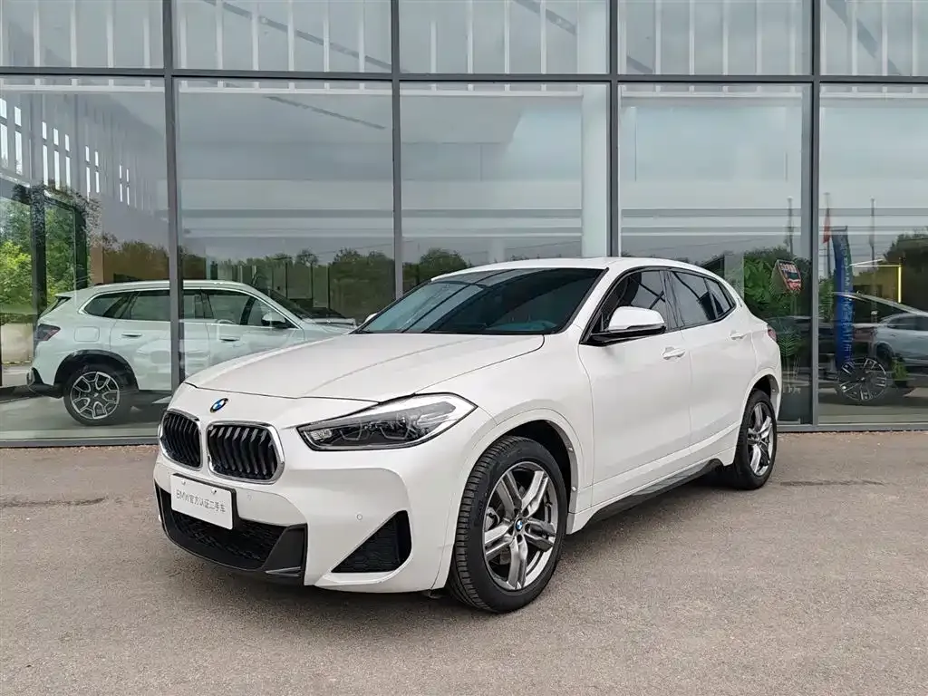 BMW X2 — фото 1