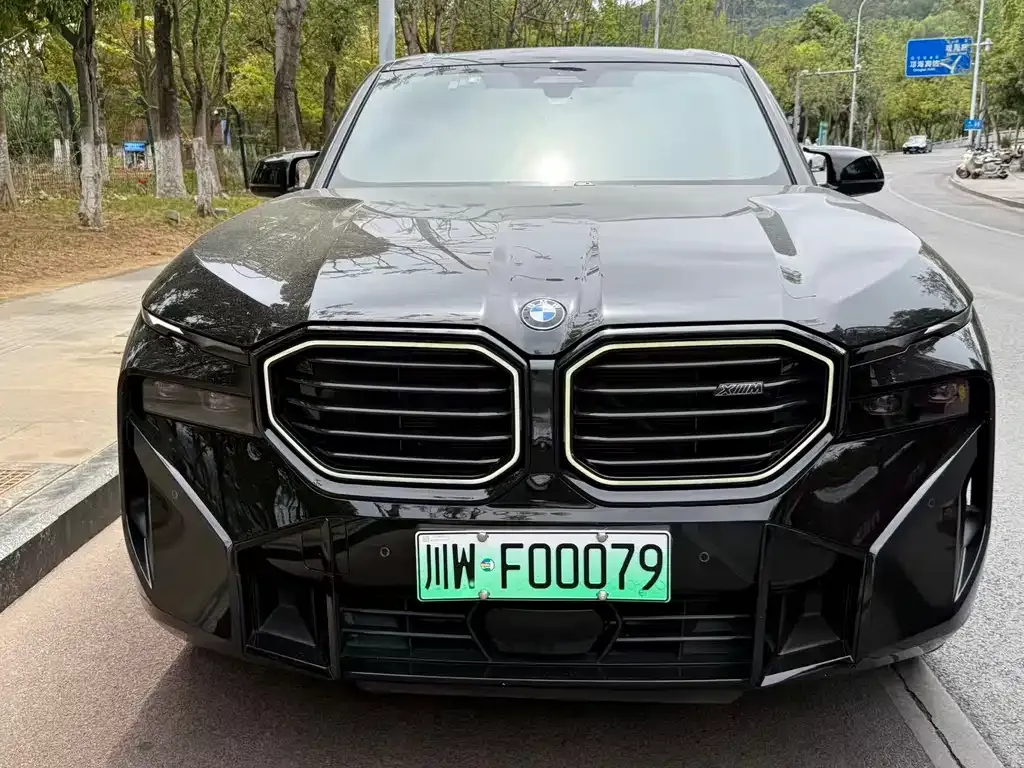 BMW XM — фото 6