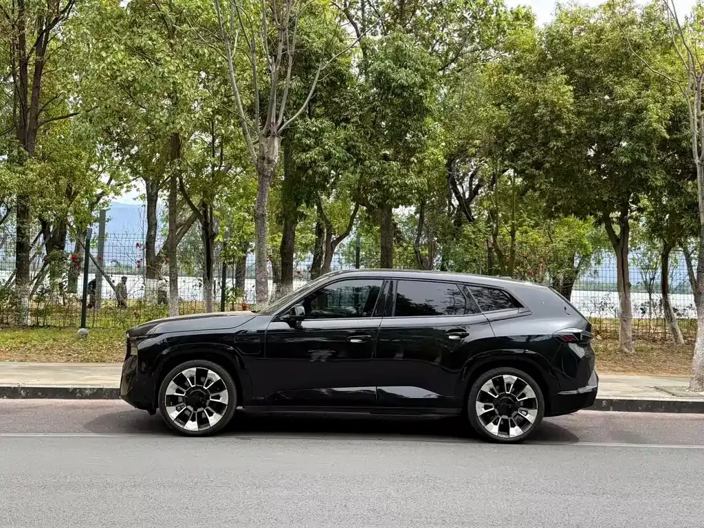 BMW XM — фото 9