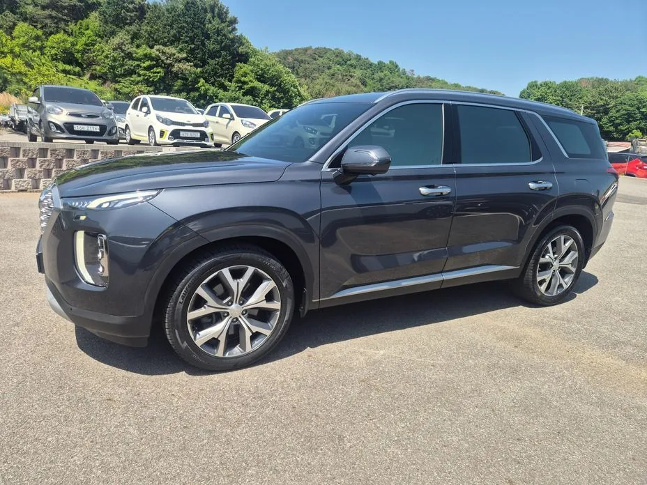 Hyundai Palisade — фото 5