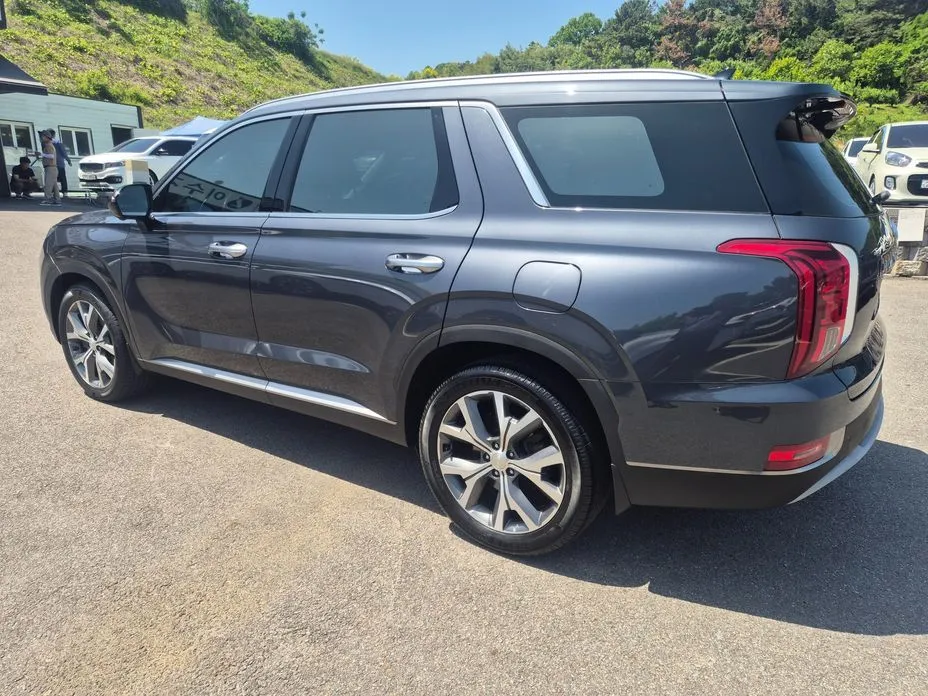 Hyundai Palisade — фото 6