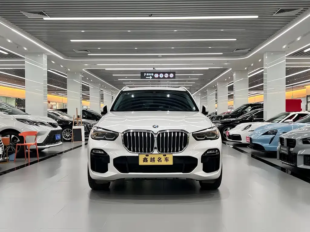 BMW X5 (Import) — фото 7