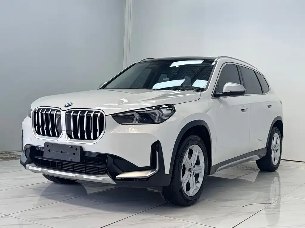 BMW X1 — фото 1