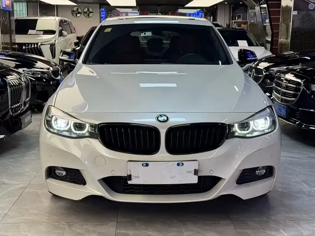BMW 3 Series GT — фото 10