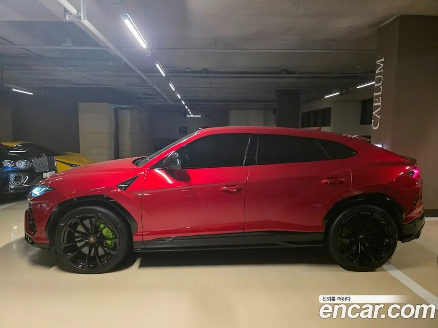 Lamborghini Urus — фото 7