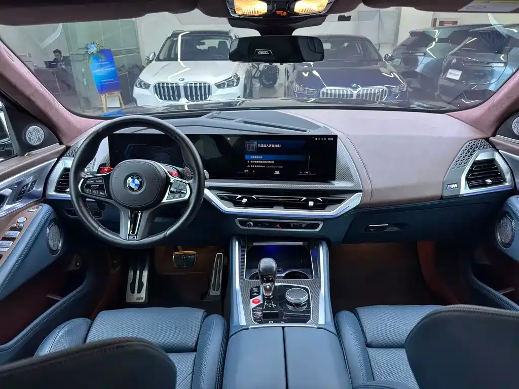 BMW XM — фото 10