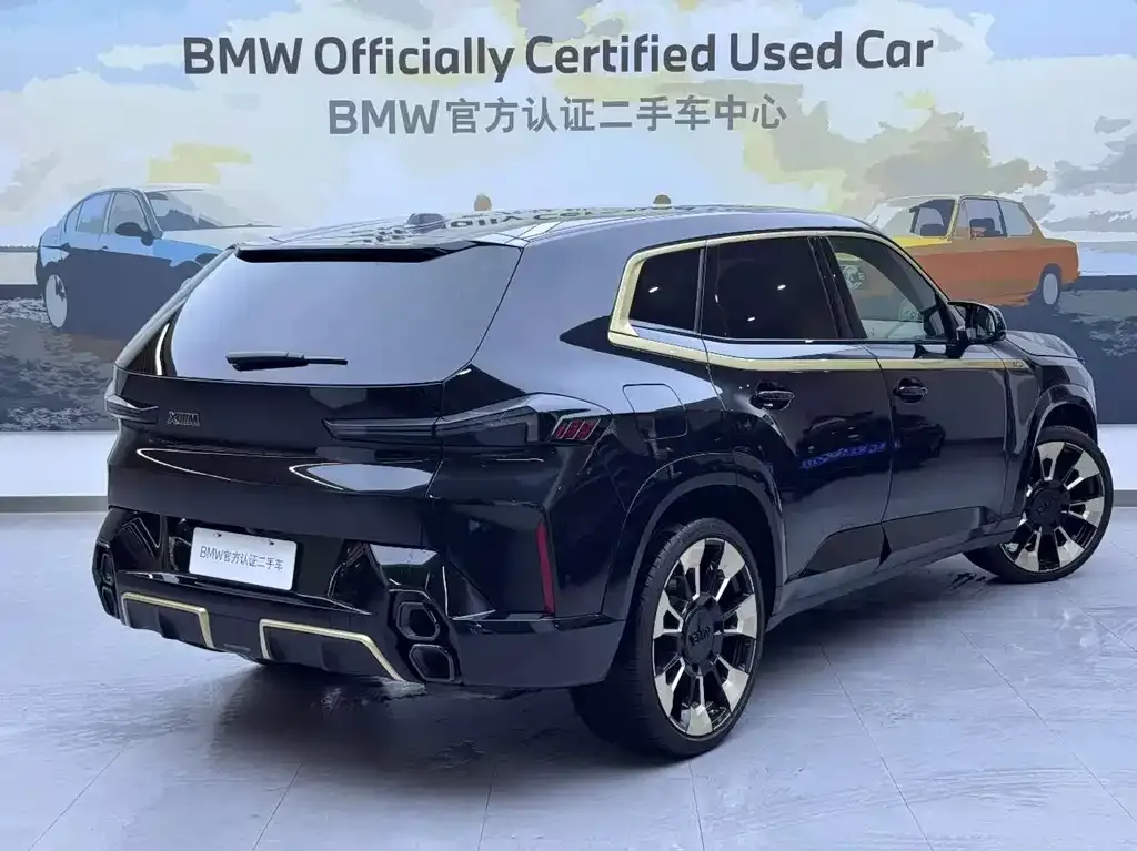 BMW XM — фото 9
