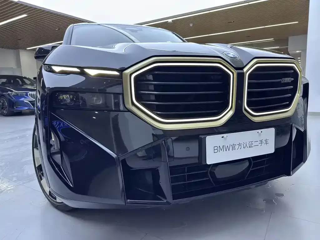 BMW XM — фото 4