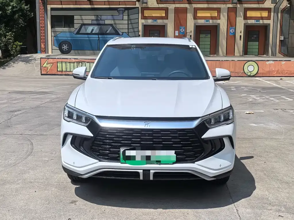 BYD Pro New Energy — фото 9