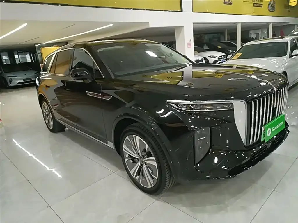 Hongqi E-HS9 — фото 10