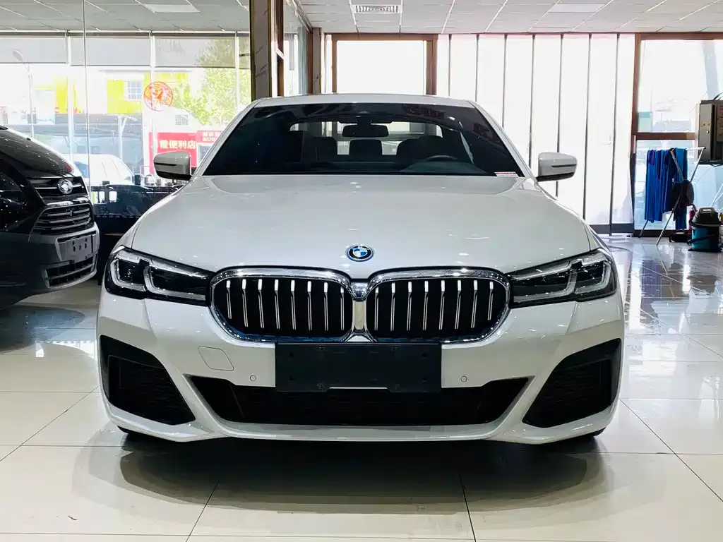 BMW 5 Series New Energy — фото 9