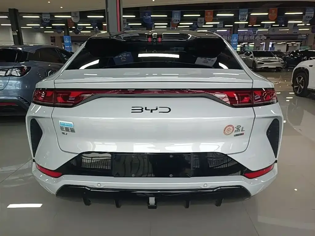 BYD L EV — фото 5
