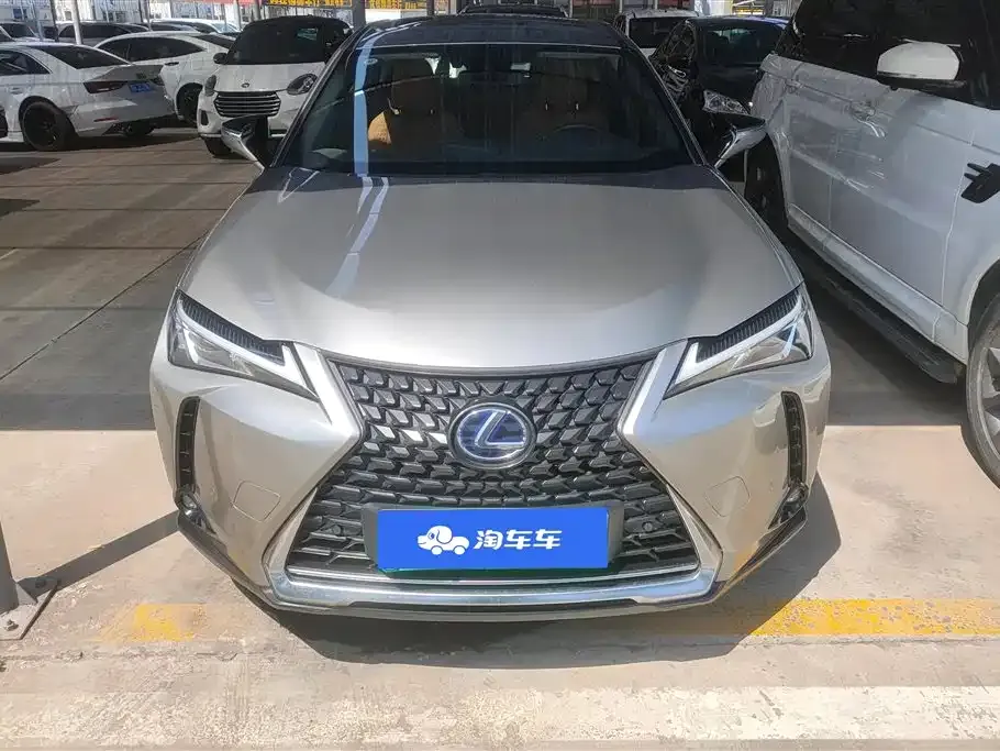 Lexus UX New Energy — фото 10