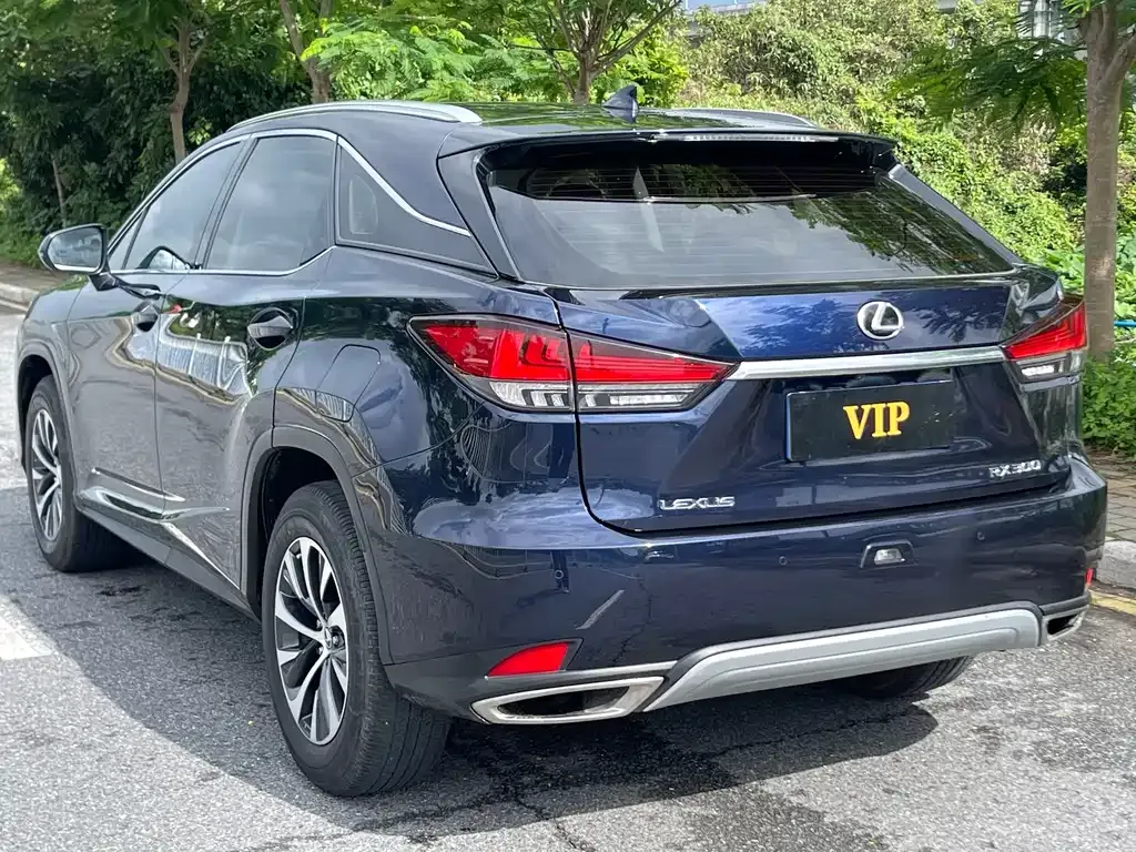 Lexus RX — фото 9