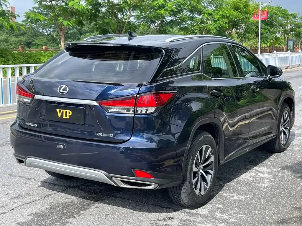 Lexus RX — фото 10