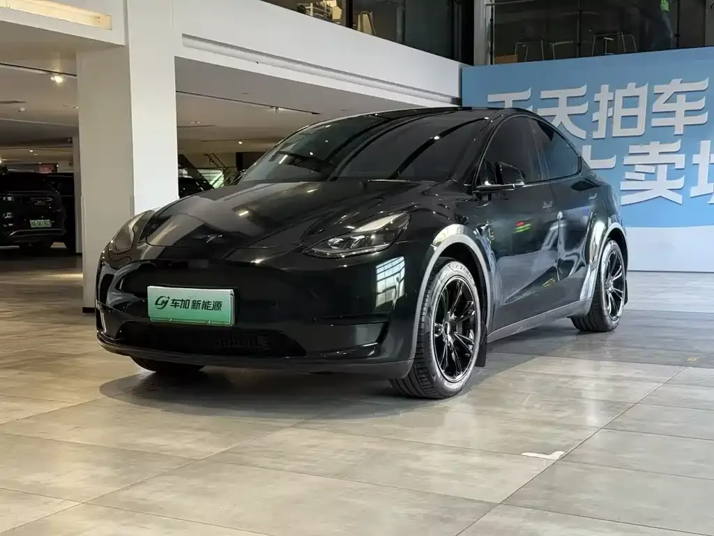 Tesla Model Y — фото 1