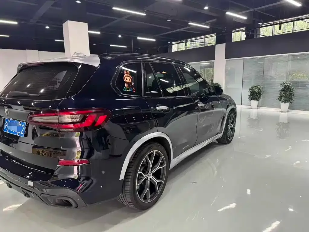 BMW X5 (Import) — фото 6