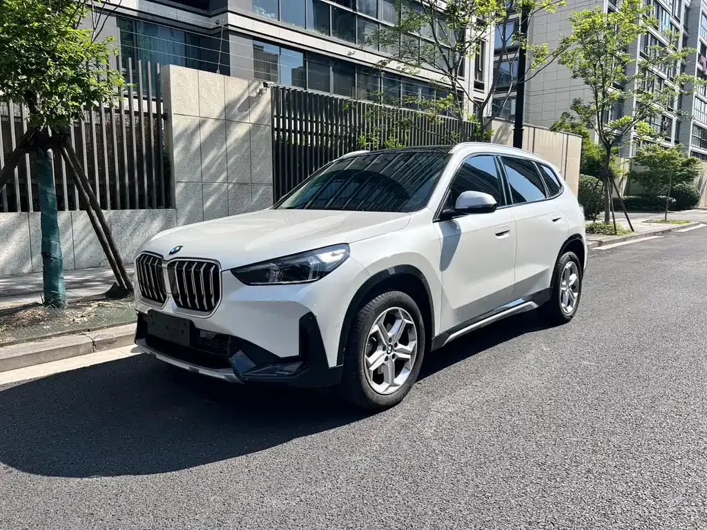 BMW X1 — фото 1