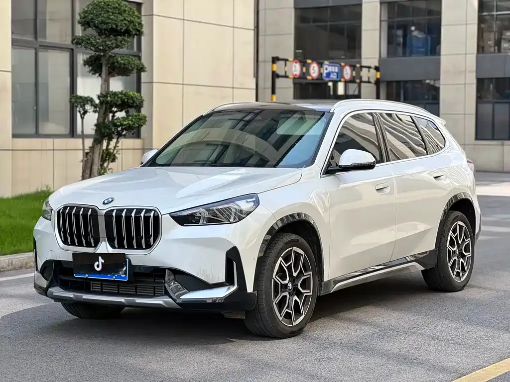 BMW X1 — фото 1