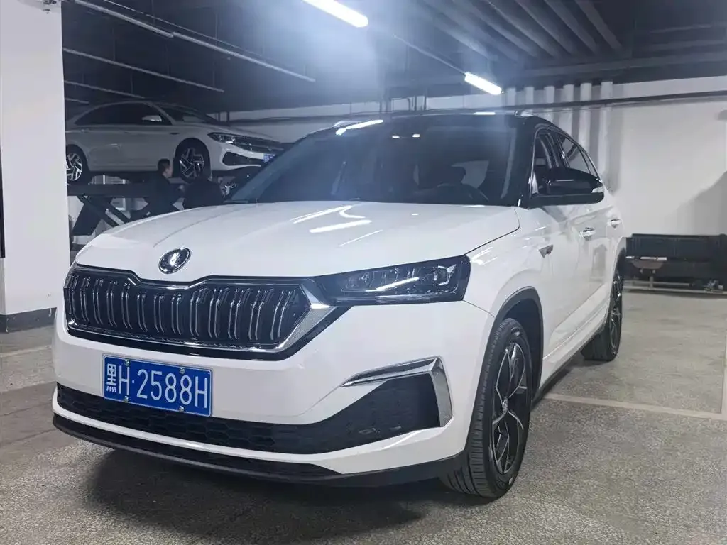 Skoda Kamiq — фото 1