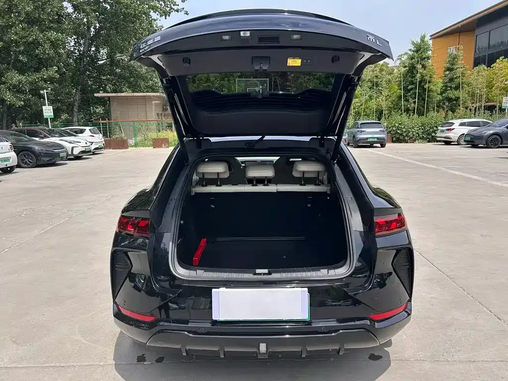 BYD L EV — фото 7