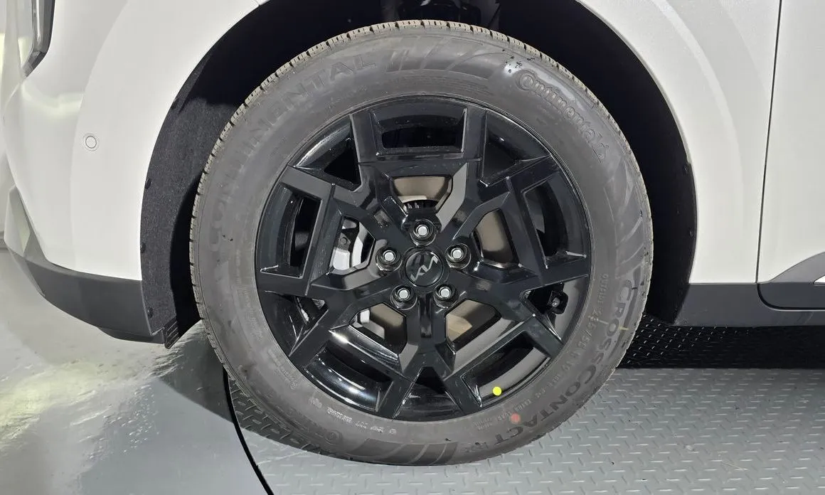 Kia Carnival — фото 7