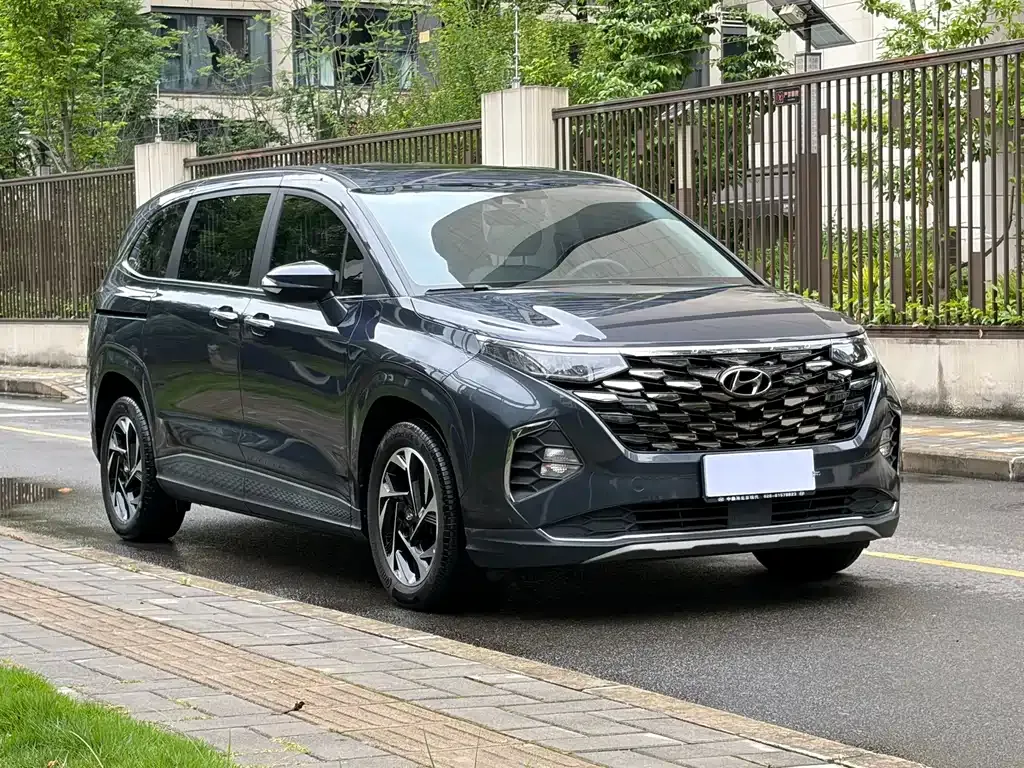Hyundai Custo — фото 9