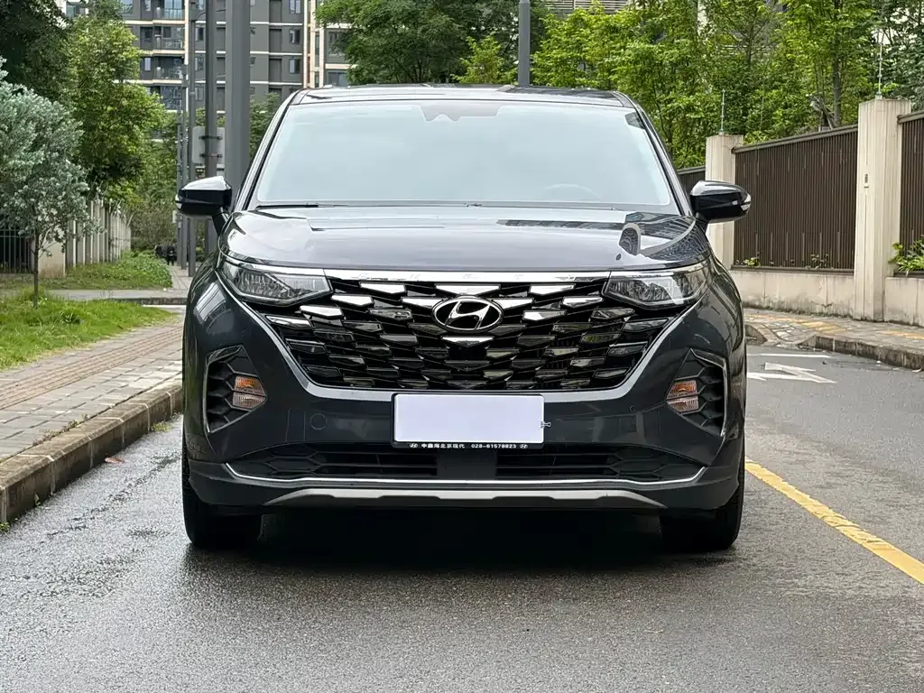 Hyundai Custo — фото 8