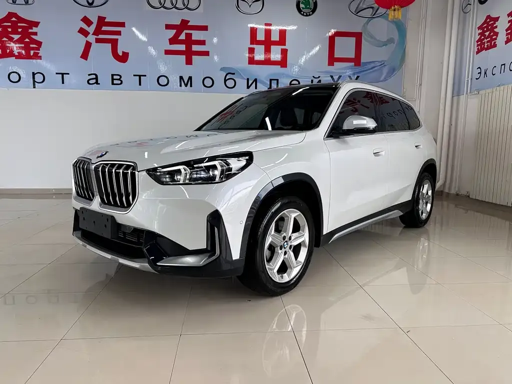 BMW X1 — фото 1