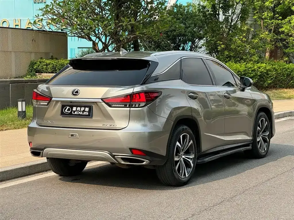 Lexus RX — фото 9