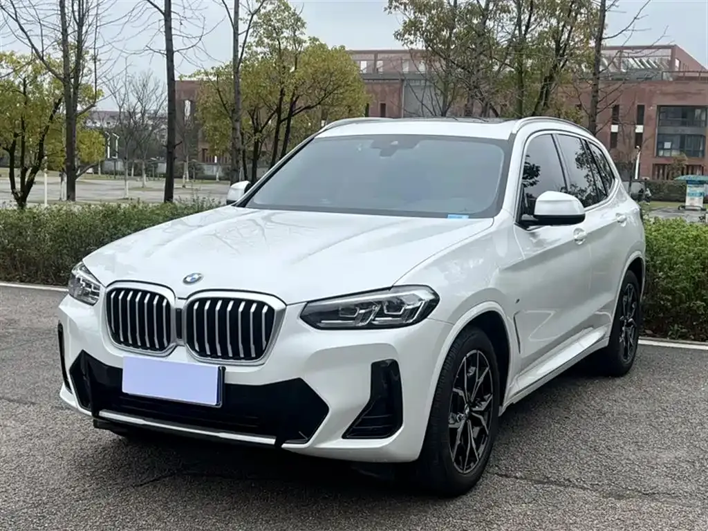 BMW X3 — фото 1