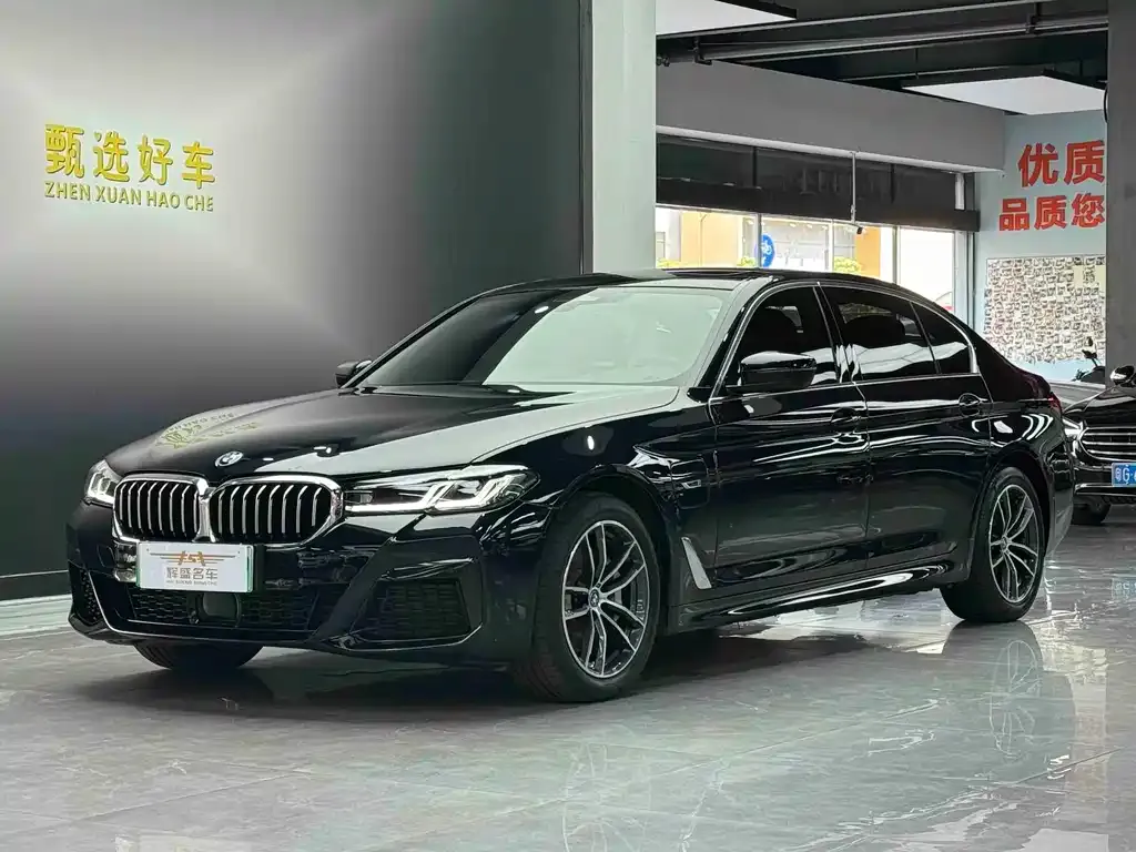 BMW 5 Series New Energy — фото 1