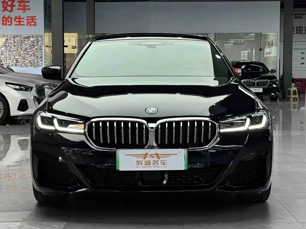 BMW 5 Series New Energy — фото 7