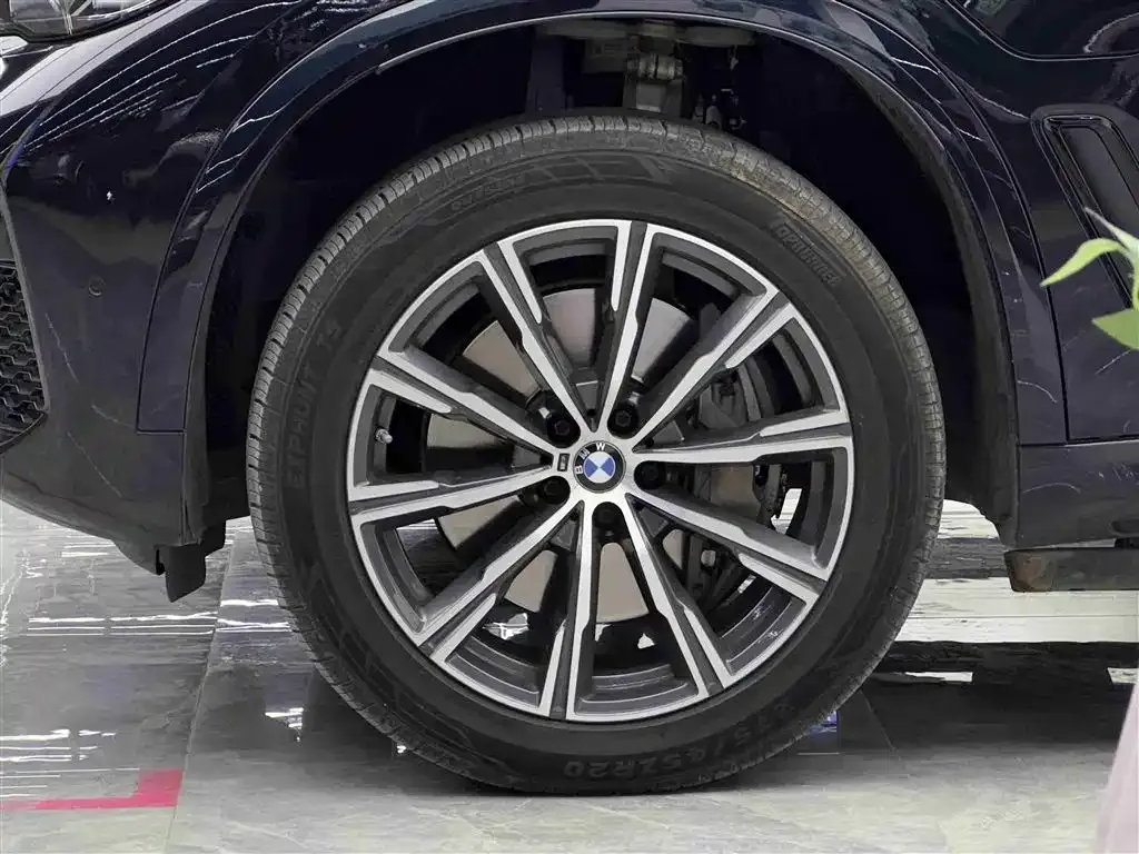 BMW X5 New Energy (Import) — фото 6